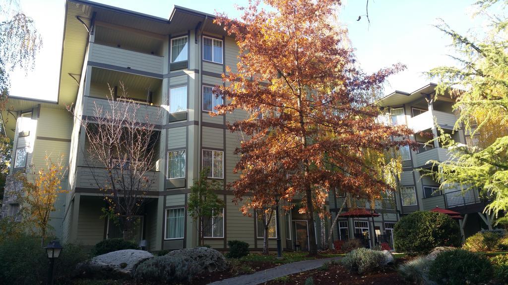 Plaza Inn & Suites At Ashland Creek Exterior photo